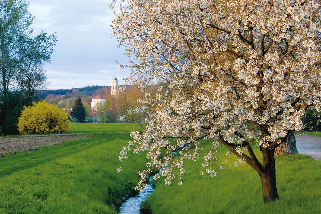 Best Western Aparthotel Birnbachhoehe Bad Birnbach Luaran gambar