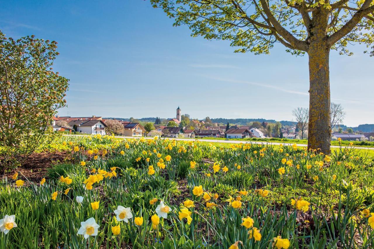 Best Western Aparthotel Birnbachhoehe Bad Birnbach Luaran gambar