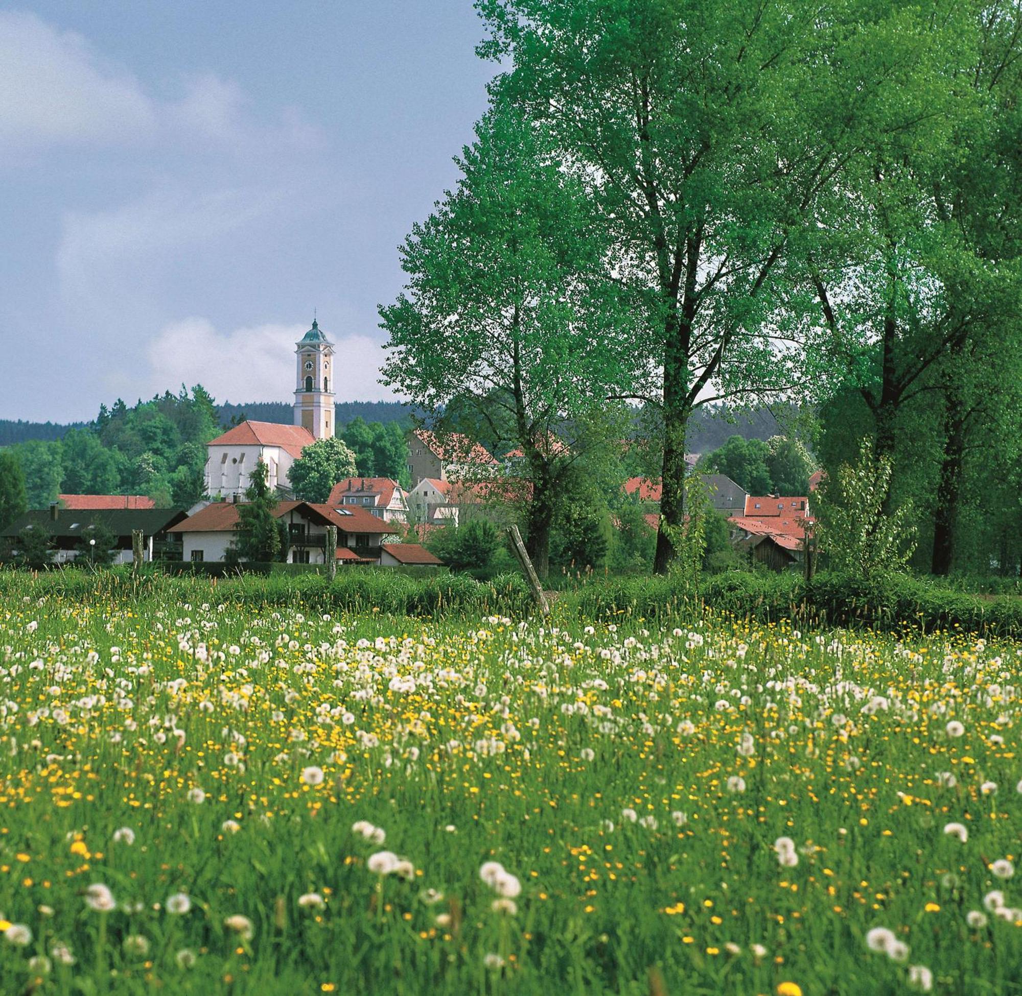 Best Western Aparthotel Birnbachhoehe Bad Birnbach Luaran gambar